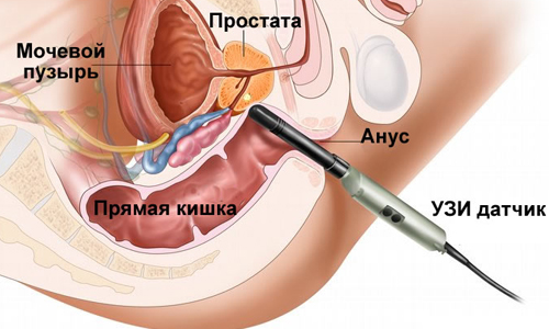 Иллюстрация 5