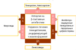 Алгоритм выбора антибиотиков