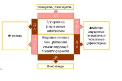 Алгоритм выбора антибиотиков при ангине Алгоритм выбора антибиотиков при ангине
