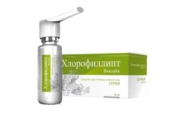 Хлорофиллипт при ангине