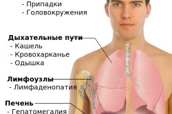 Основные места распространения метастаз