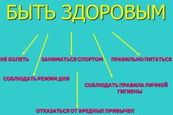 Правила здоровой жизни